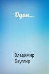 Владимир Бауглир - Один...