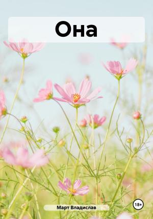 Обложка книги «Она» — Владислав Март