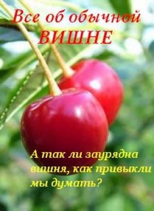 Обложка книги «Все об обычной вишне» — Иван Дубровин