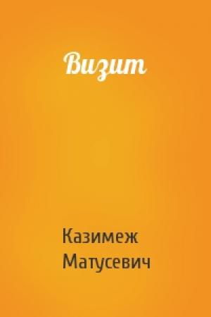 Обложка книги «Визит» — Казимеж Матусевич