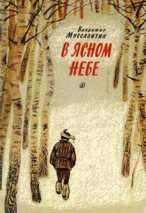 Обложка книги «В ясном небе» — Владимир Муссалитин