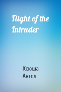 Flight of the Intruder