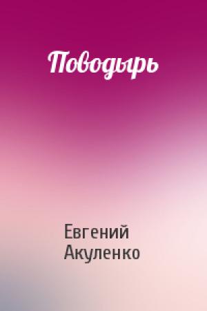 Обложка книги «Поводырь» — Евгений Акуленко