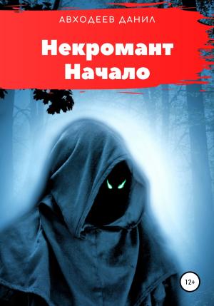 Обложка книги «Некромант. Начало» — Данил Авходеев