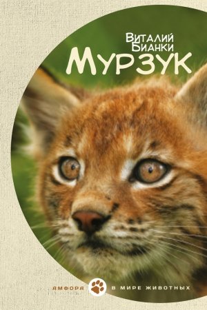 Обложка книги «Мурзук» — Виталий Бианки