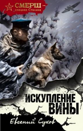 Обложка книги «Искупление вины» — Евгений Сухов