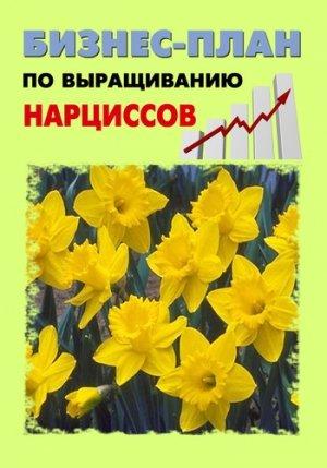 Обложка книги «Бизнес-план по выращиванию нарциссов» — Павел Шешко, А. Бруйло