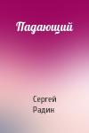Сергей Радин - Падающий