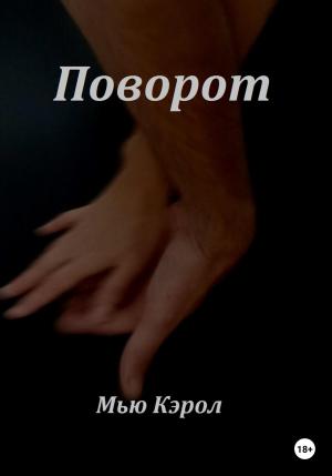 Обложка книги «Поворот» — Мью Кэрол