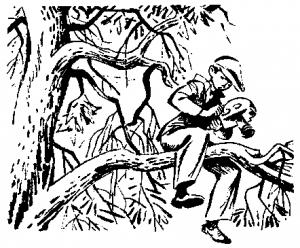 Обложка книги «Кинохроника» — Юрий Сотник