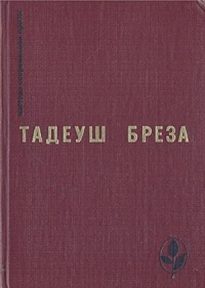 Обложка книги «Лабиринт» — Тадеуш Бреза