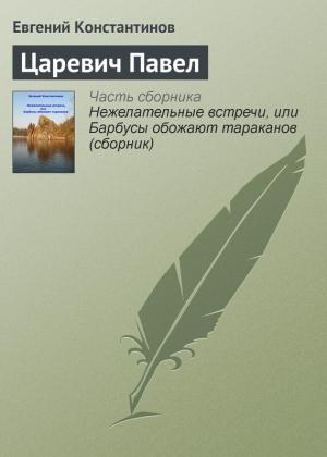Обложка книги «Царевич Павел» — Евгений Константинов